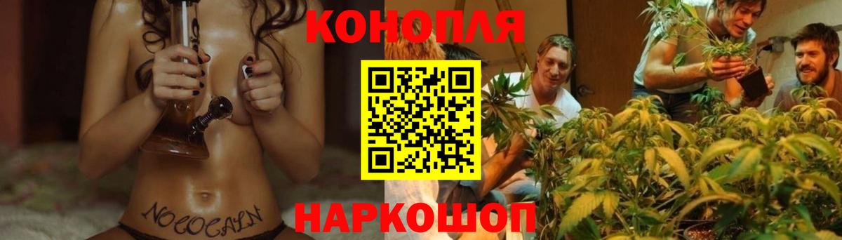 Конопля White Widow  Вход с VPN  Канабис ГИДРОПОН  Усолье-Сибирское 